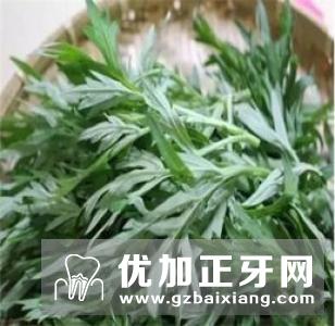 艾草的功效与作用有哪些