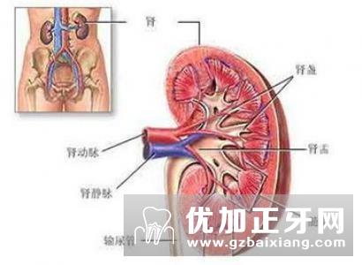 男人肾虚 按摩补肾方法